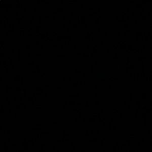 Meet your Posher, Ricky